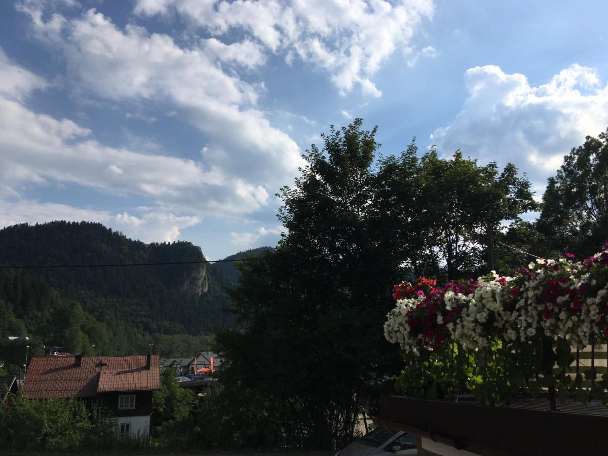 Willa Ada Szczawnica Zewnętrze zdjęcie