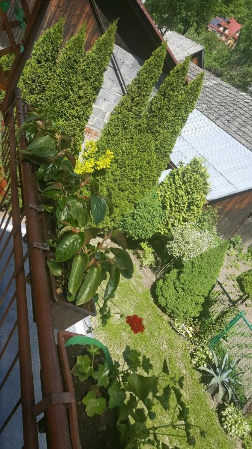 Willa Ada Szczawnica Zewnętrze zdjęcie